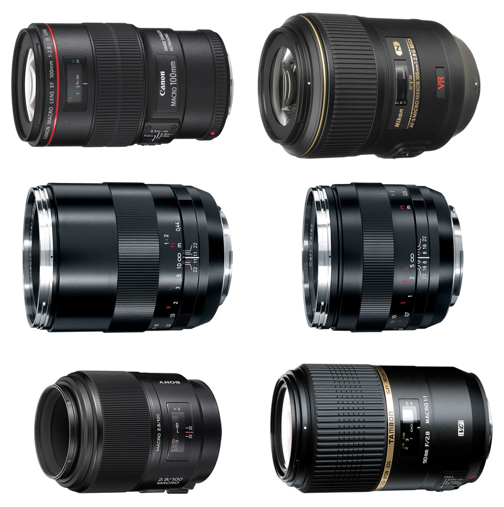 Recommended-Macro-Lenses-for-Canon-Nikon-Sony.jpg