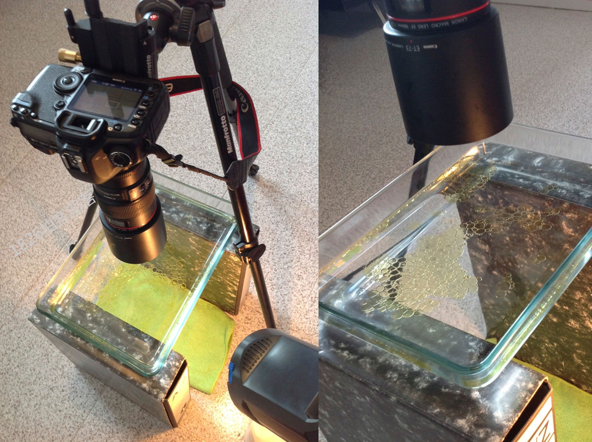 oil-and-water-photography-setup-1.jpg